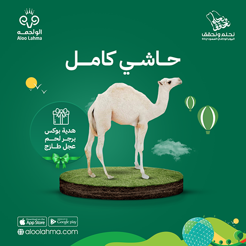 حاشي كامل